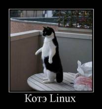 Котэ Linux