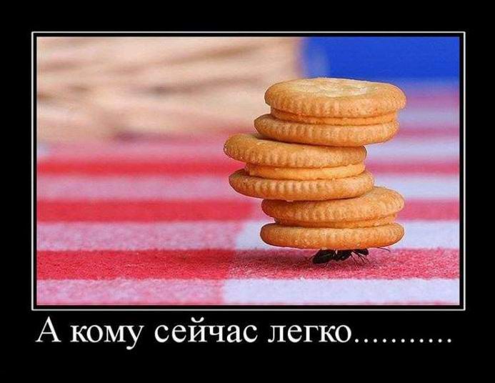 Демотиваторы 167 часть