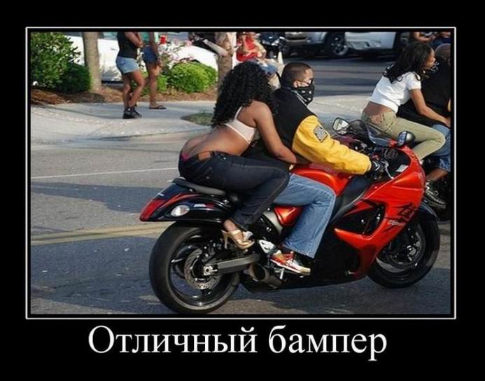 Демотиваторы (256 часть, 50 фотографий)