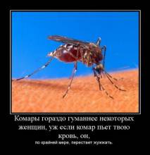 Комары гораздо гуманнее некоторых женщин, уж если комар пьет твою кровь, он, по крайней мере, перестает жужжать. 