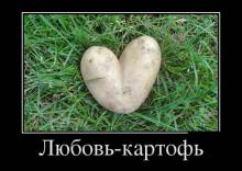 Любовь-картофь 