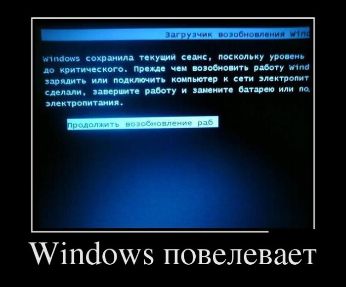 Windows  