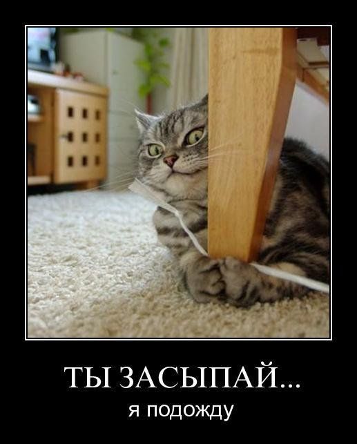 Ты засыпай...