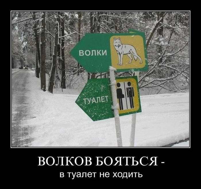 Волков бояться - в туалет не ходить