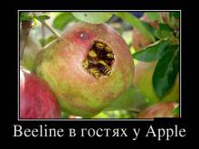 Beeline в гостях у Apple 