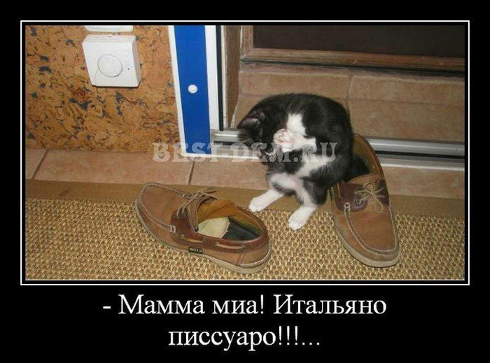  !  !!!... 