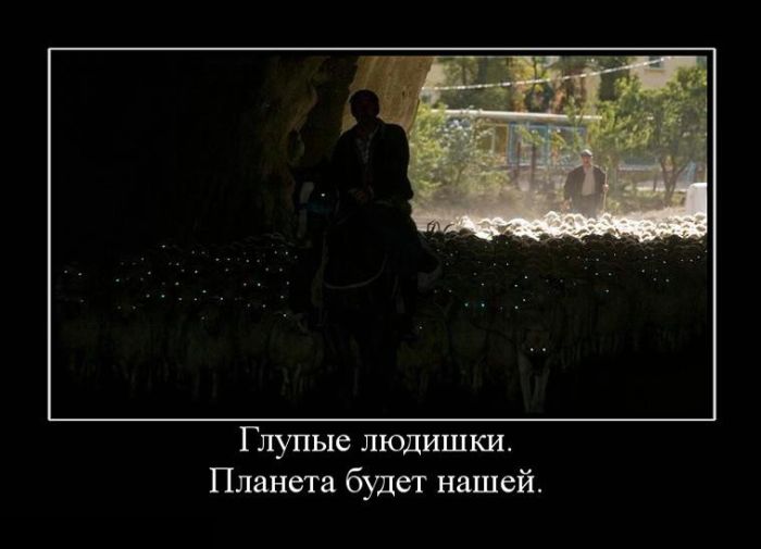  .   . 