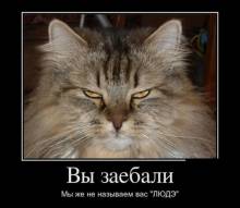  .      ݻ
