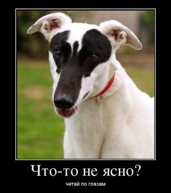 -  ?    